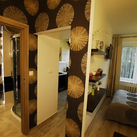 Appartement Najlepsza Baza Apartamentow Krynica Zdroj