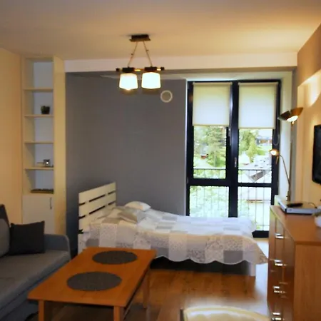 Najlepsza Baza Apartamentow Appartement Krynica Zdroj
